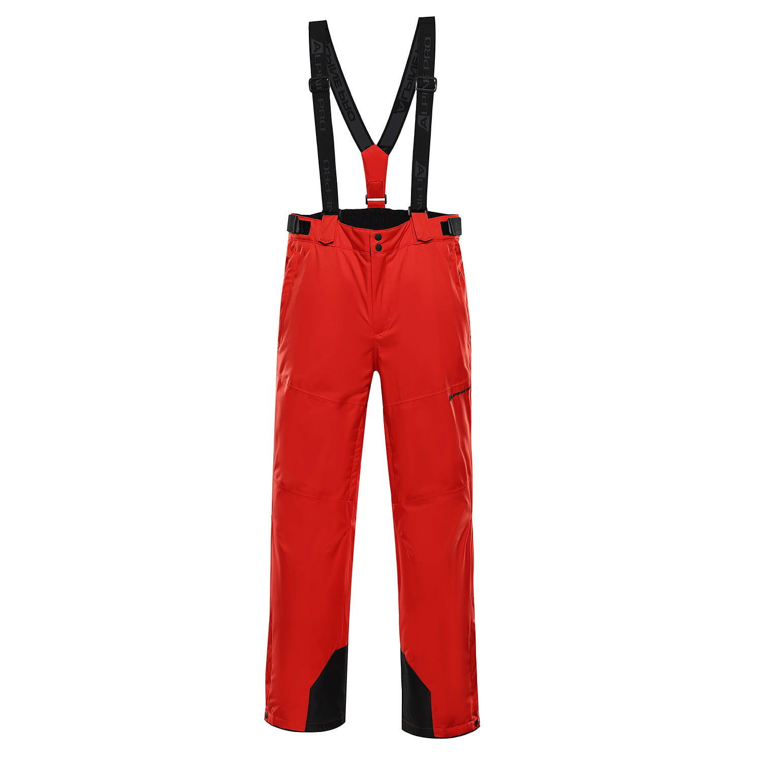 ALPINE PRO picture