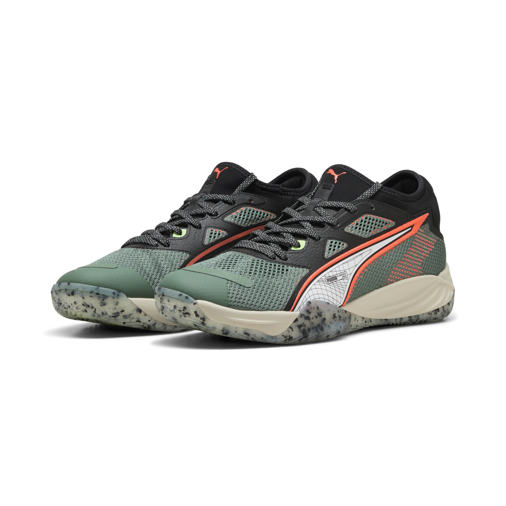 PUMA picture