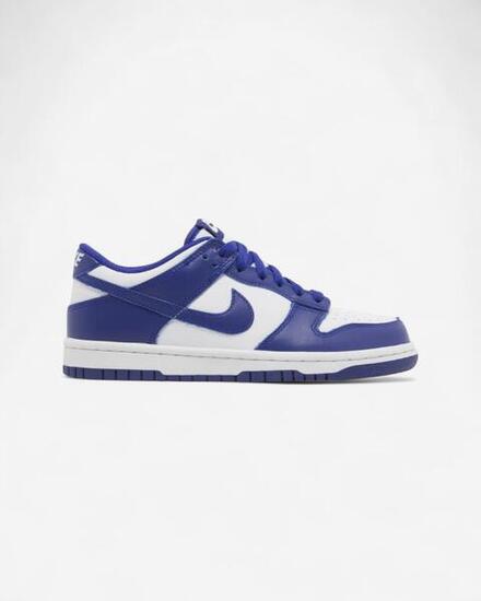 Nike Dunk Low Concord (GS)