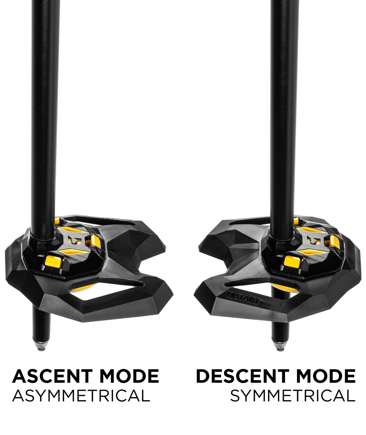 GRIVEL-Stöcke Poloneses Ski Tour 145 cm schwarz für Skitouren 2/4