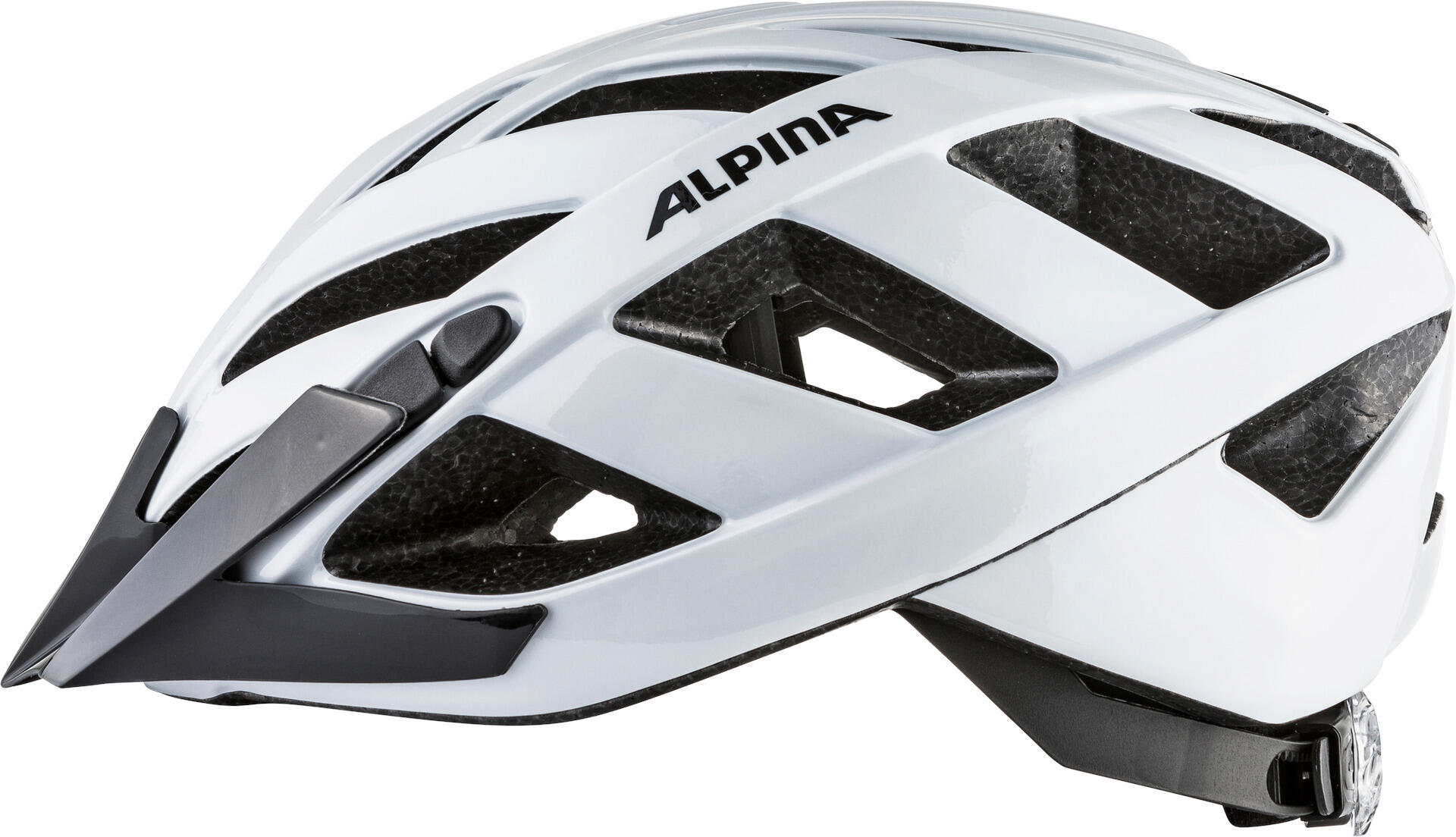 ALPINA picture