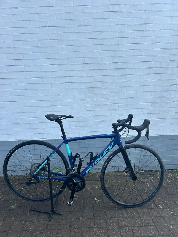 RIDLEY picture
