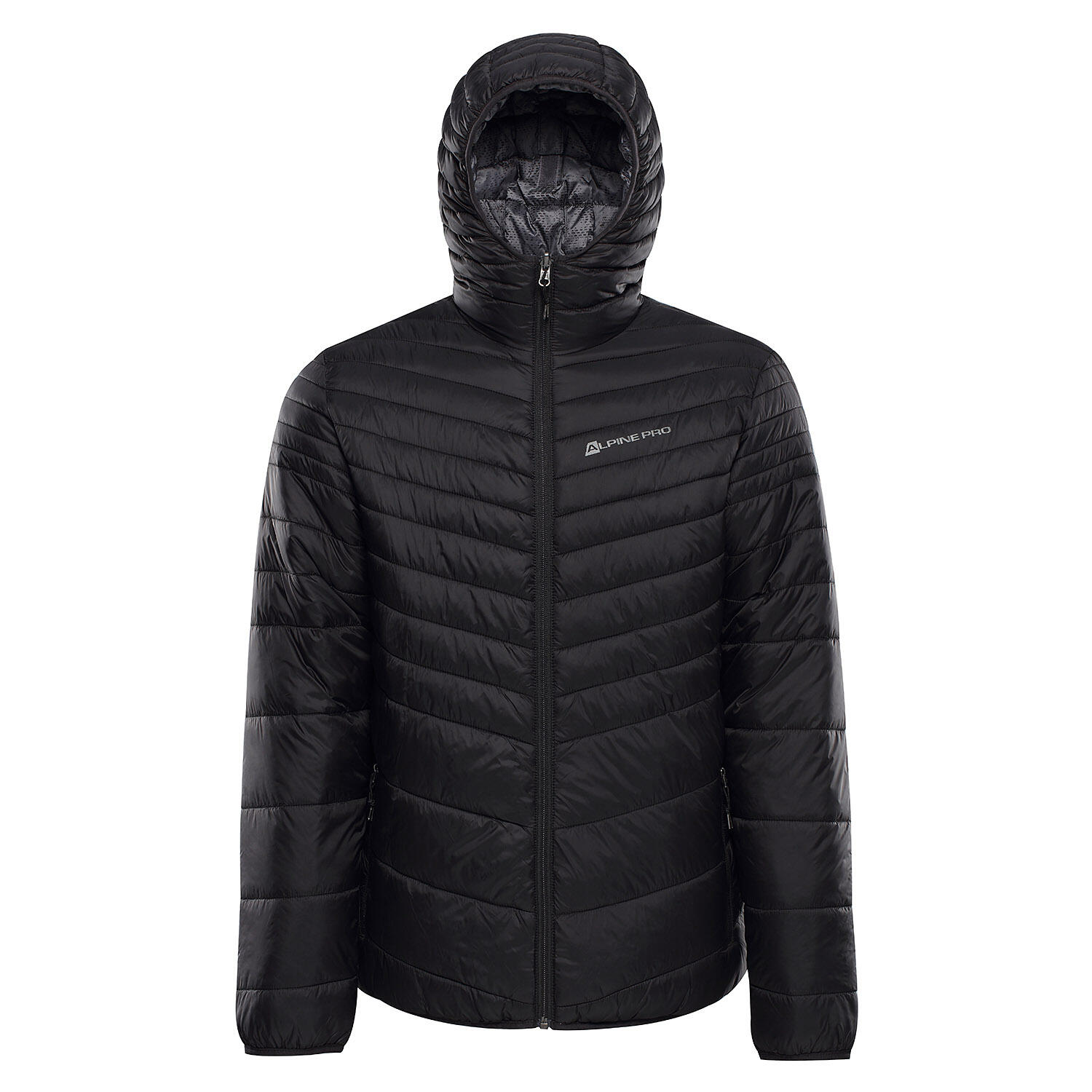 ALPINE PRO picture