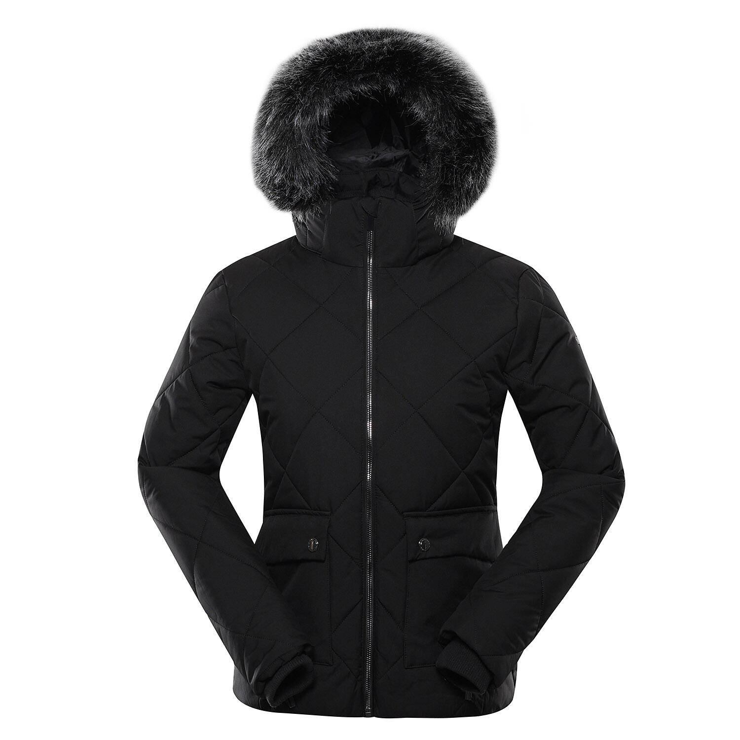 ALPINE PRO picture