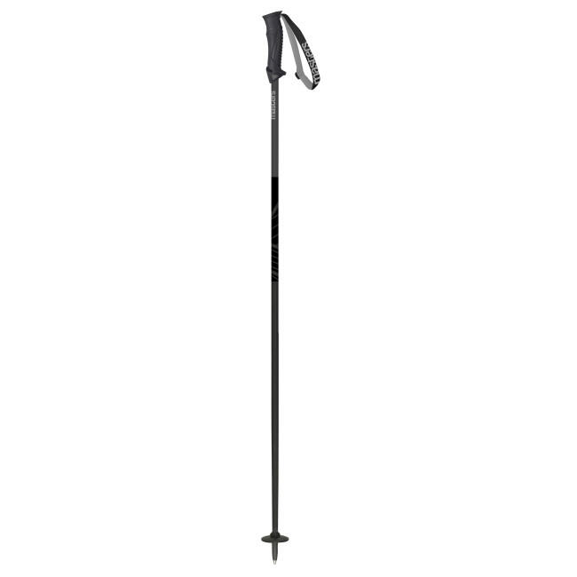Bețe Schi MASTERS Alpine Carbon, Gri Închis, Unisex