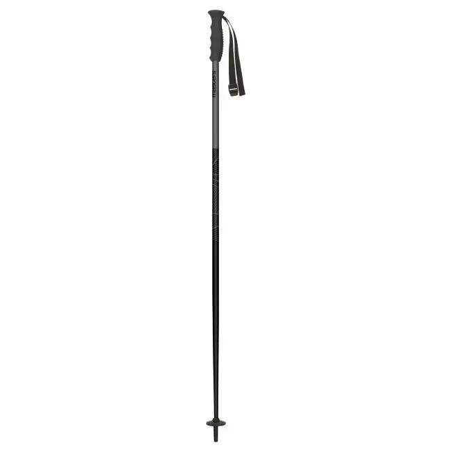 Bețe Schi MASTERS Piste, Negru/Antracit, Unisex 2/2