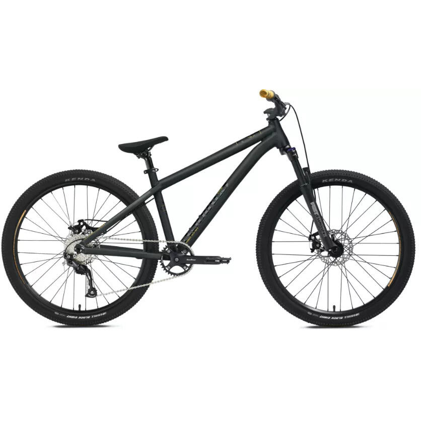 NS BIKES picture