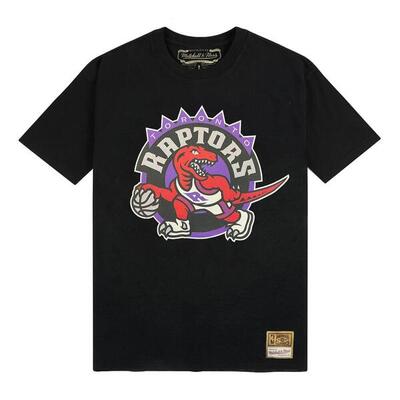 T-shirt toronto raptors nba team logo