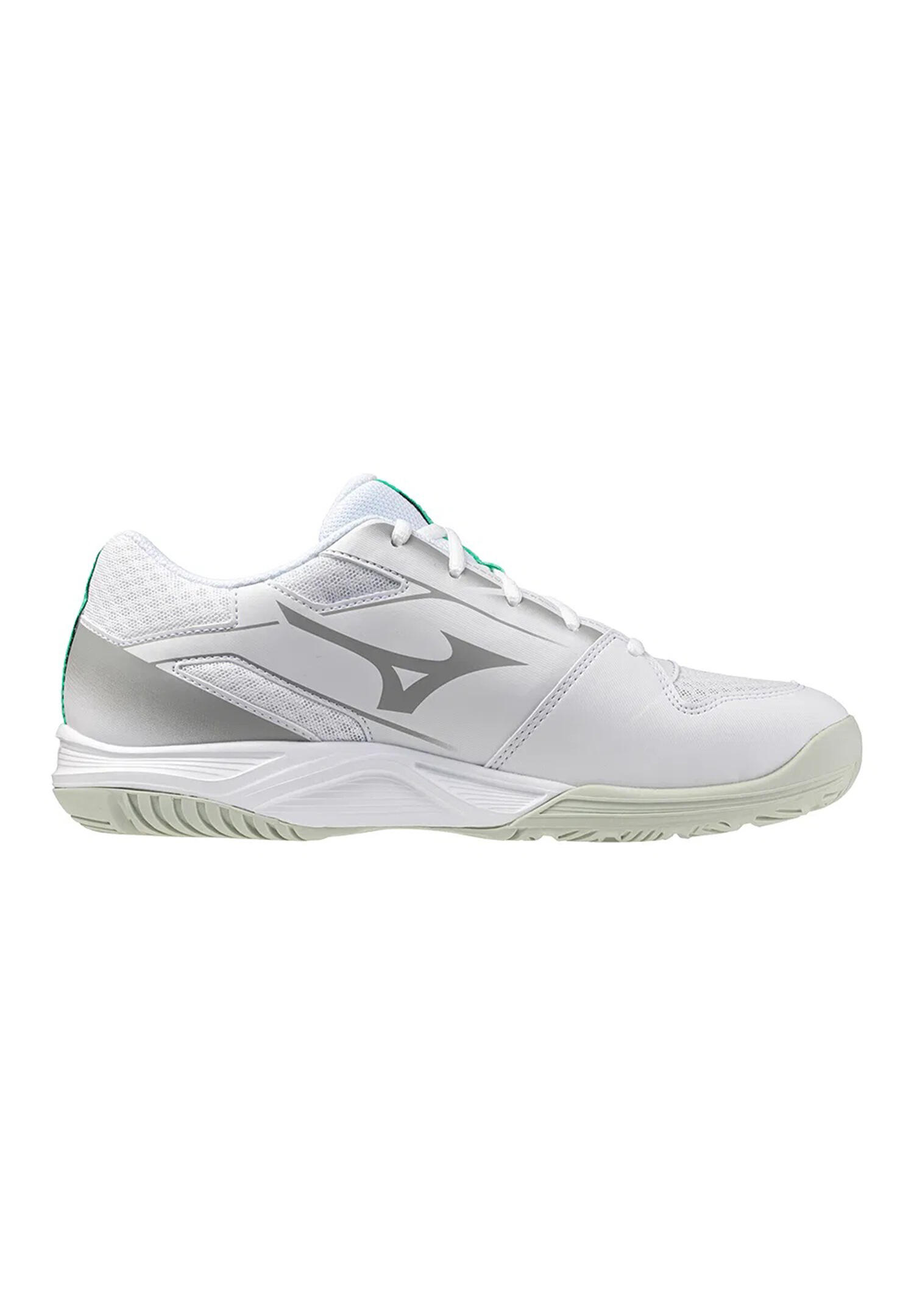 MIZUNO picture