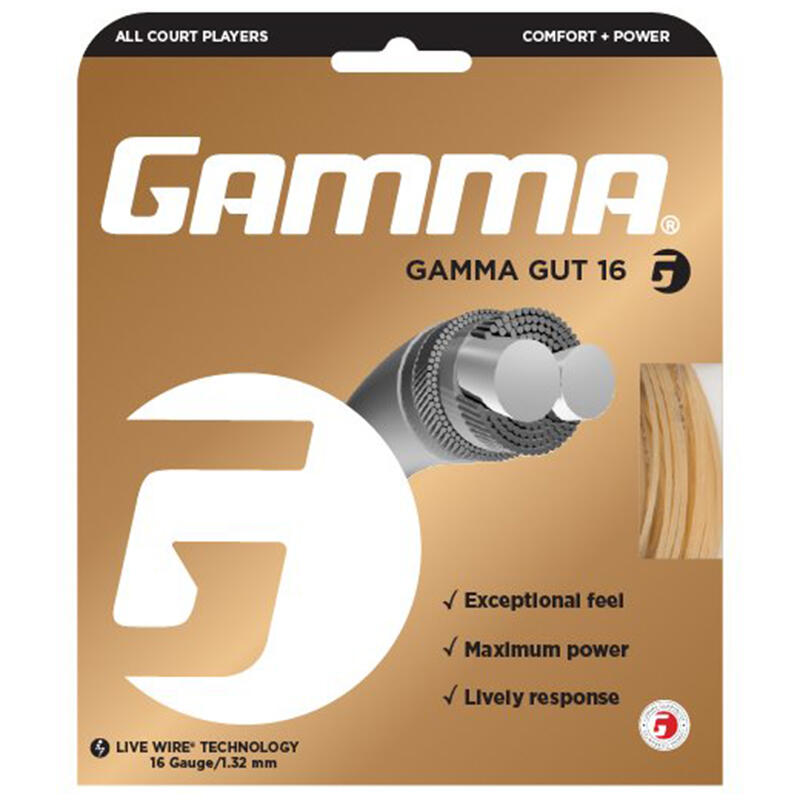 GAMMA picture