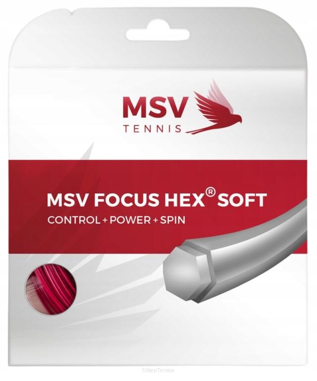 MSV TENNIS picture