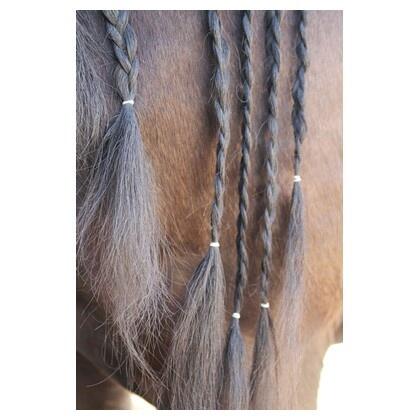 Tresses magiques Harry's Horse - Transparentes 2/3