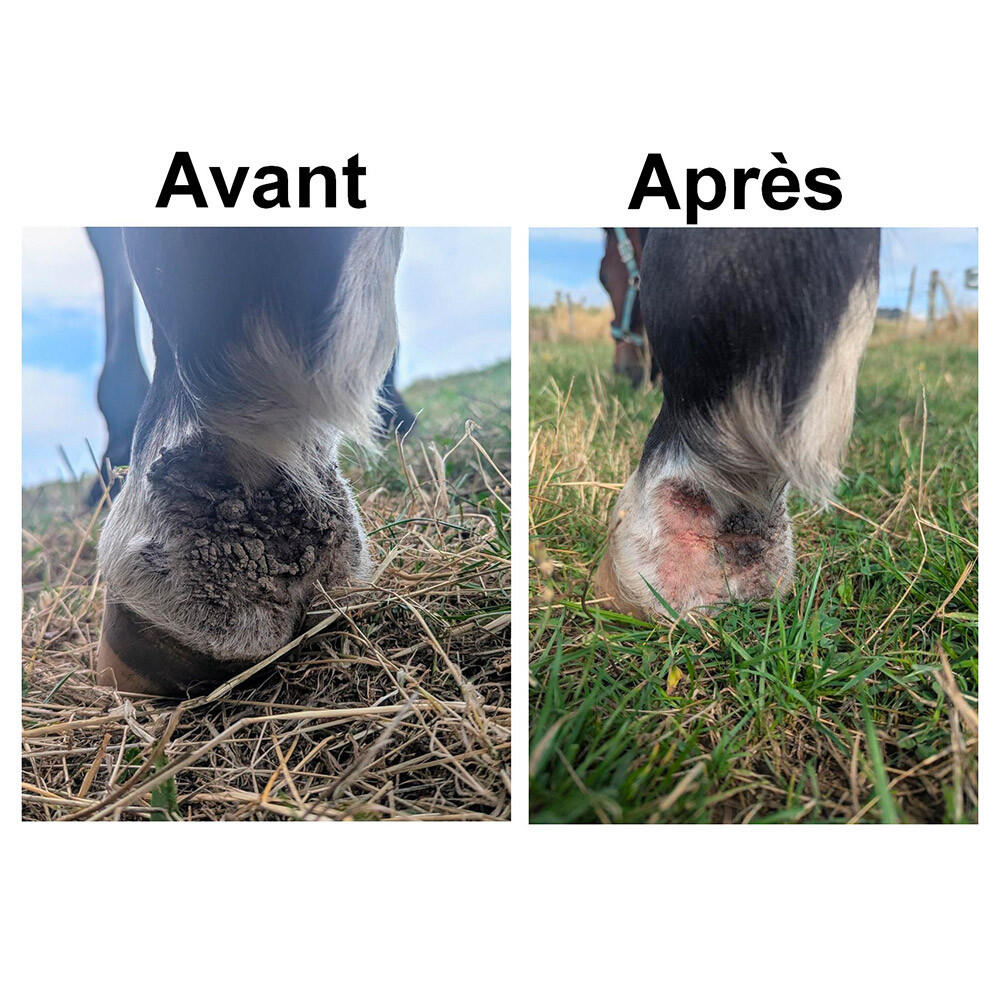 Onguent anti-crevasse et gale de boue cheval Ekin 400g 6/7