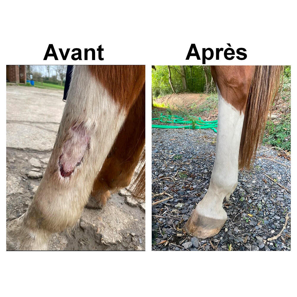 Onguent anti-crevasse et gale de boue cheval Ekin 400g 5/7