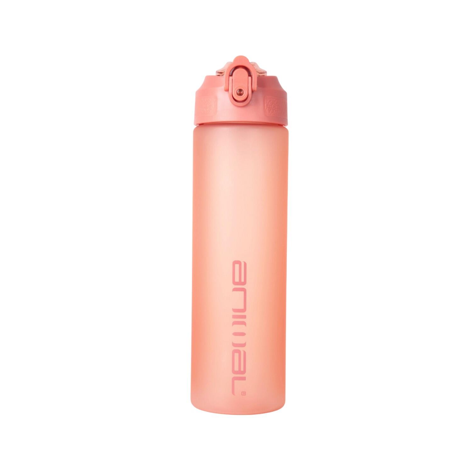 Animal Straw 700ml Water Bottle