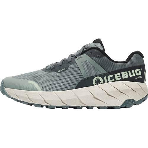 ICEBUG picture