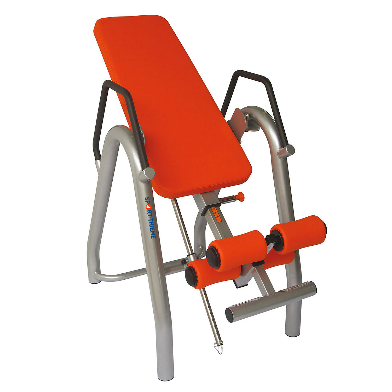 SPORT-THIEME picture