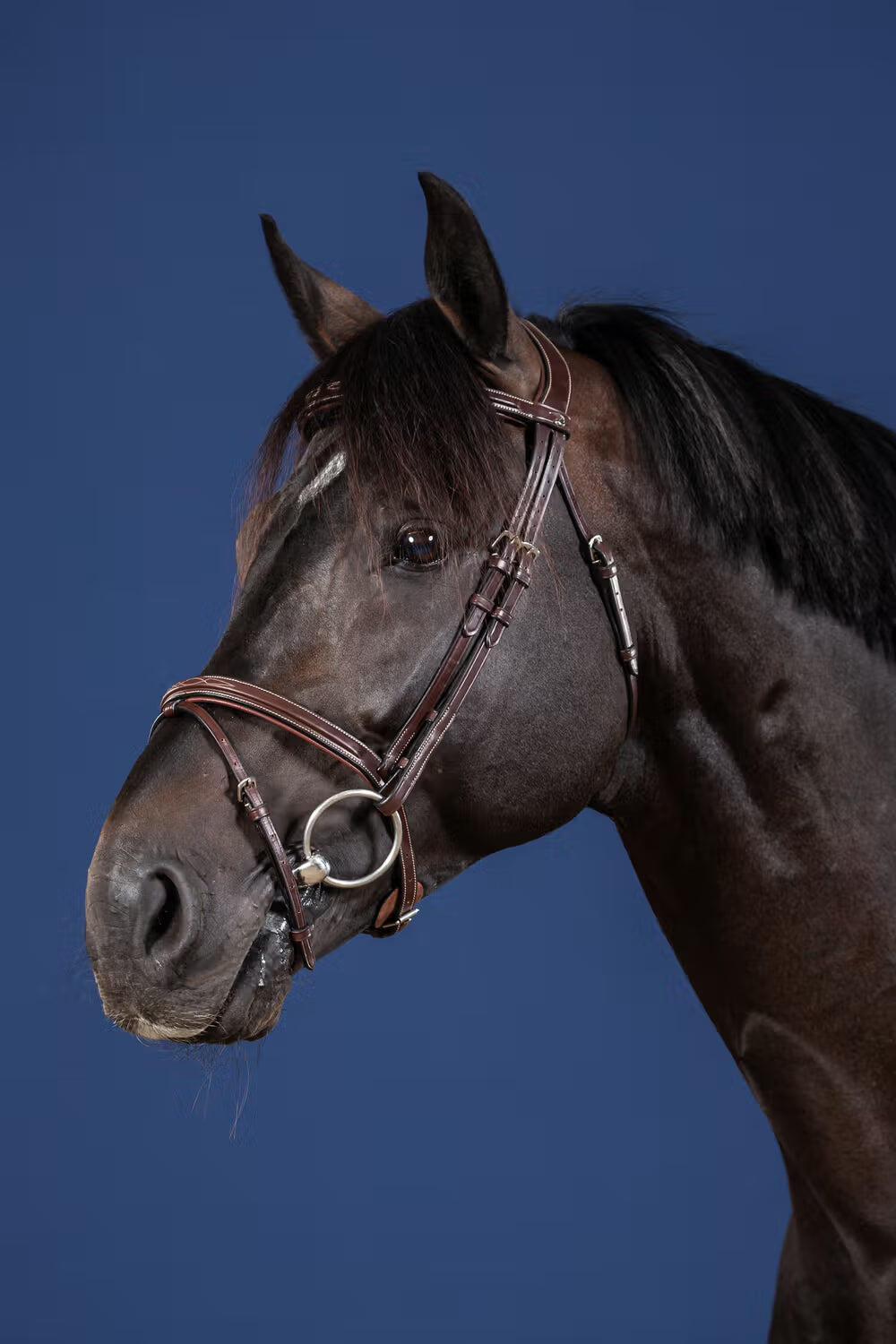 Combined riding bridle and noseband Dy'on 3/5