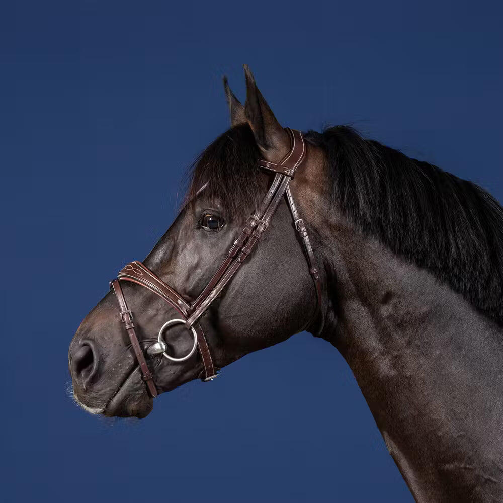 Combined riding bridle and noseband Dy'on 4/5