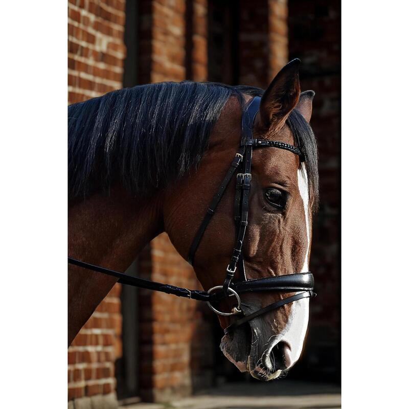 Frâu uriaș din piele pentru cai EQUESTRIAN QUEEN