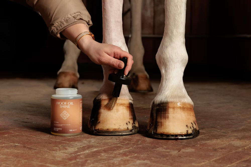 Olio per zoccoli di cavallo Grooming Deluxe Shine 4/4