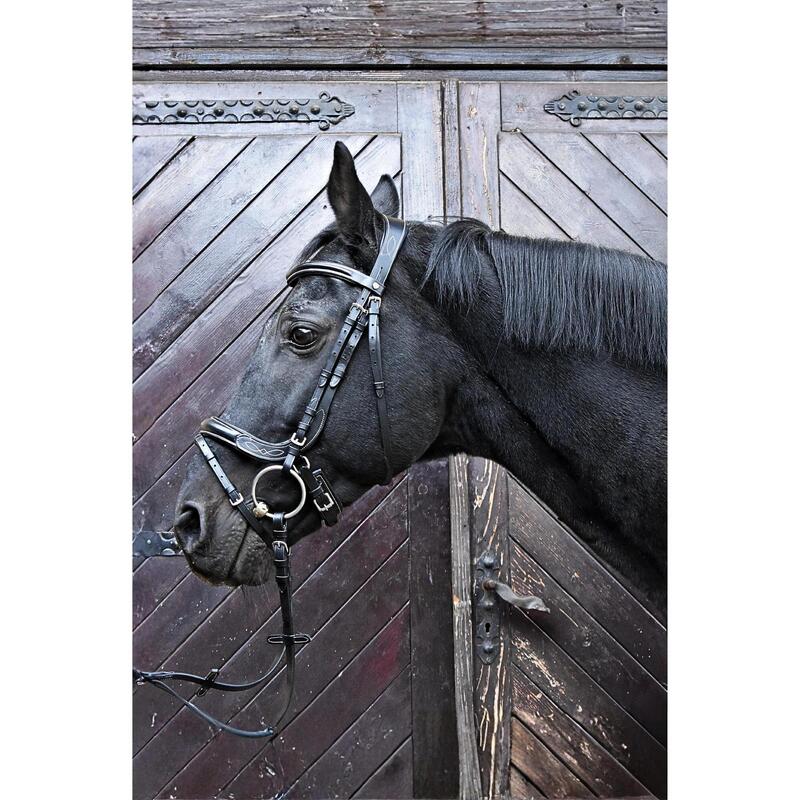 Frâu anatomic din piele Electra pentru cai EQUESTRIAN QUEEN