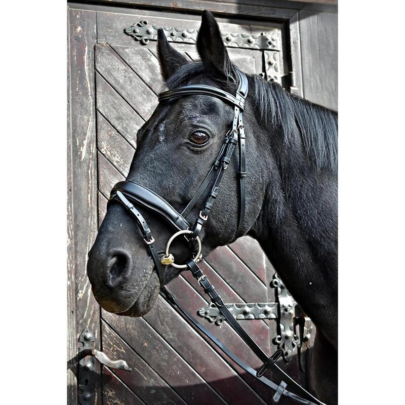 Frâu din piele Firebird pentru cal EQUESTRIAN QUEEN