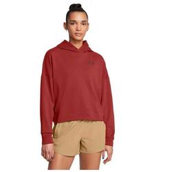 Sweat à capuche Under armour modèle 1382736-840 pour femmes