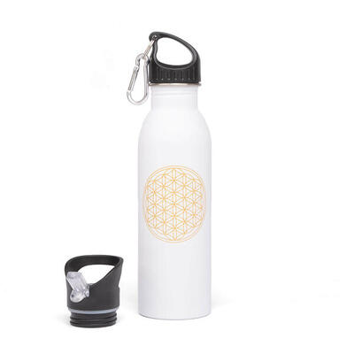 Drinkfles 700ml bodhi roestvrijstalen waterfles