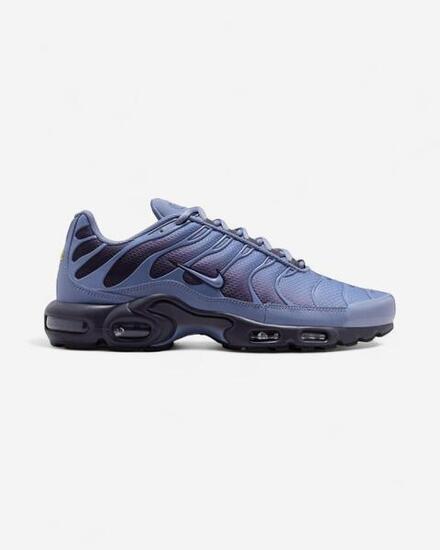 Nike Air Max Plus World Indigo