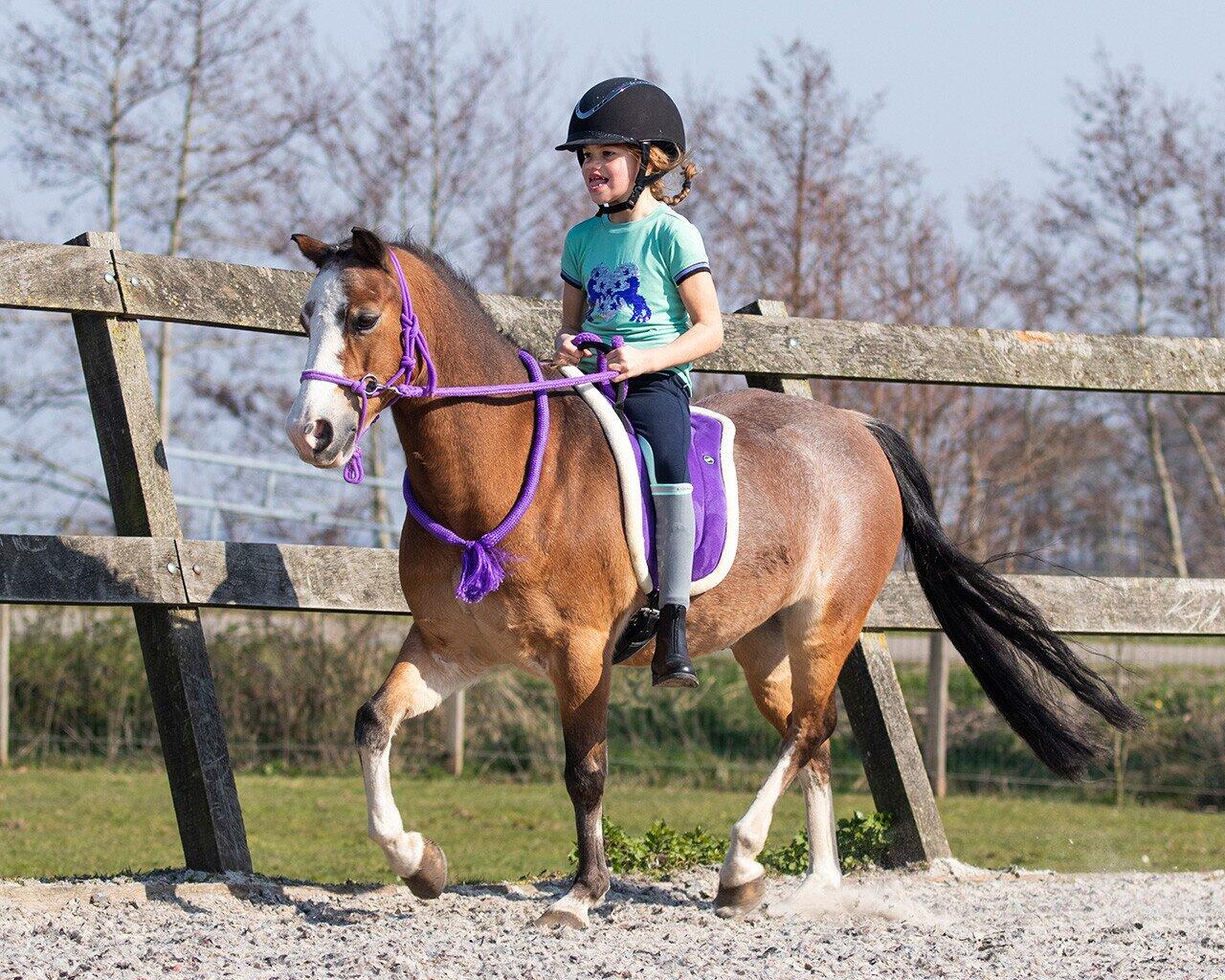 QHP Bareback Pad - Navy (Shetland) (Shetland) 2/3