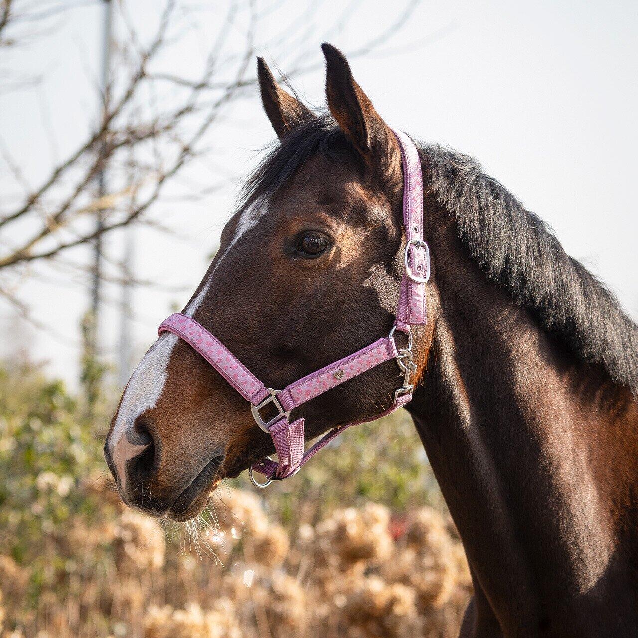 QHP Halster Lyvia - Roze (Shetland) 3/4