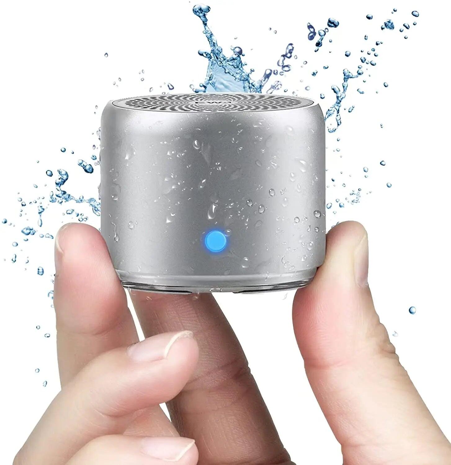 NNEOBA Mini Speaker with Custom Bass Radiator Silver