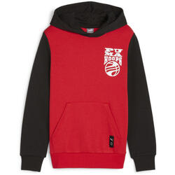 Sweat à capuche Puma modèle 679980_11 pour homme