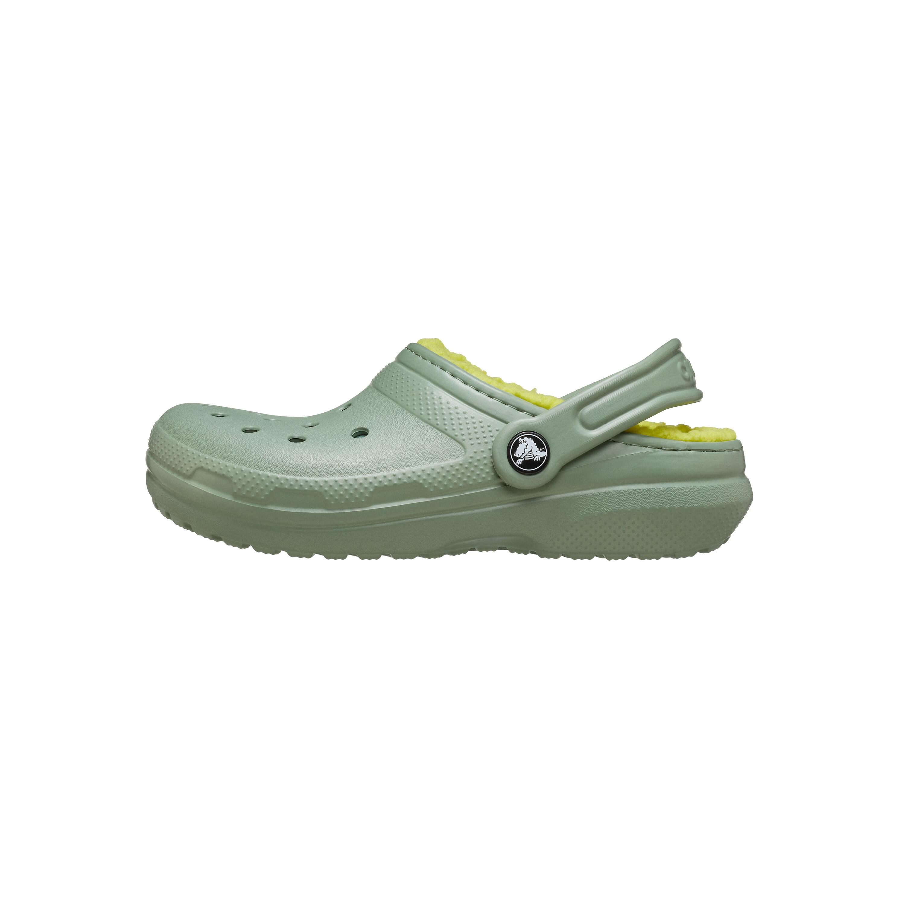 CROCS picture