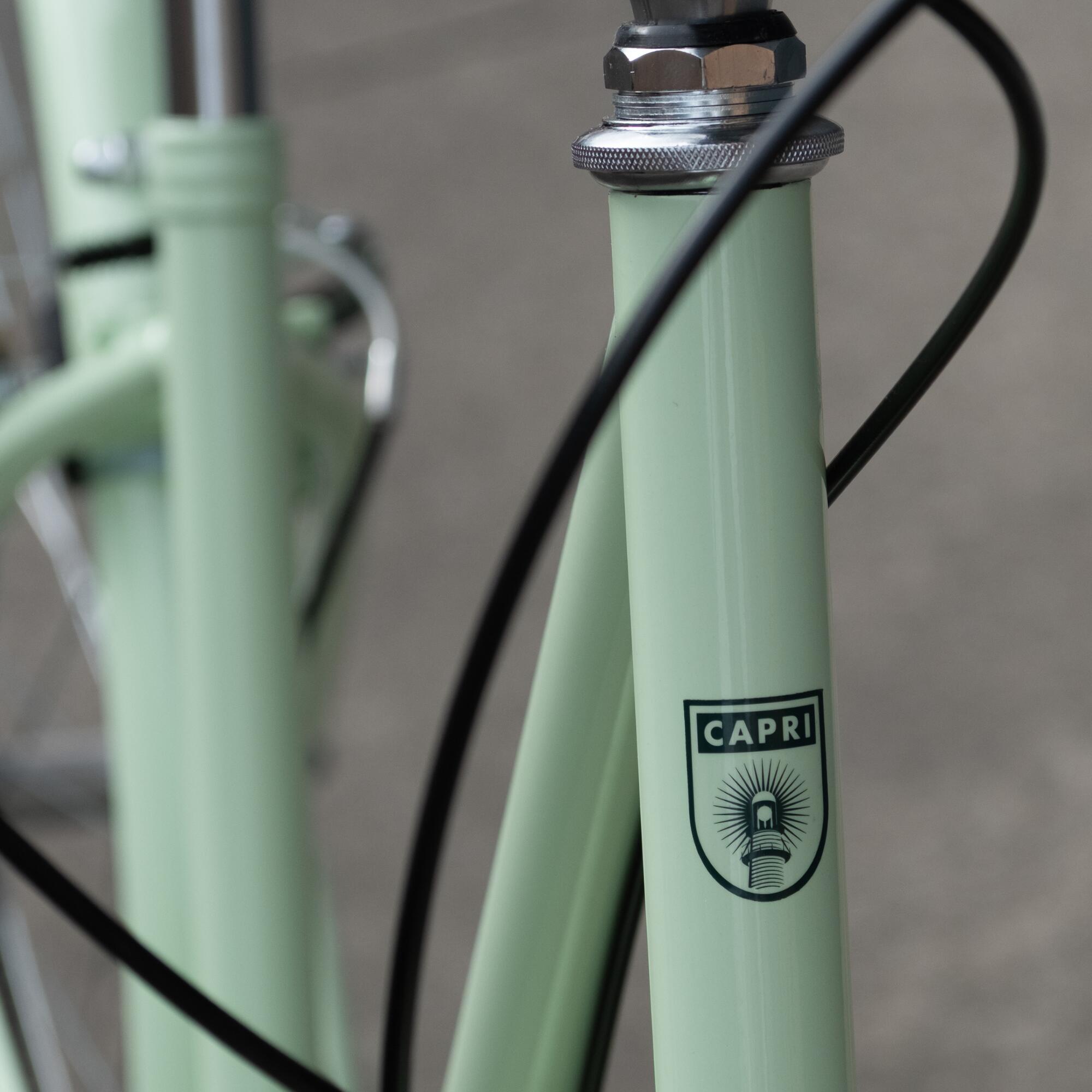 Citybike Niza pastellgrün 7 Gänge 4/6