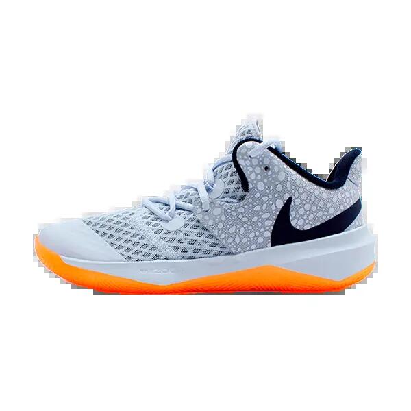 Shoes Nike Volleyball Grey DJ4476-900