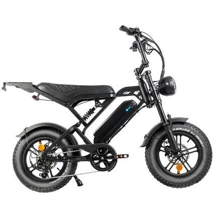 V20 pro mini E-bike, 250Watt motorvermogen, topsnelheid 25 km/u