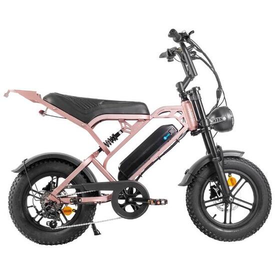 V20 pro mini E-bike, moteur de 250W, vitesse maximale de 25 km/h
