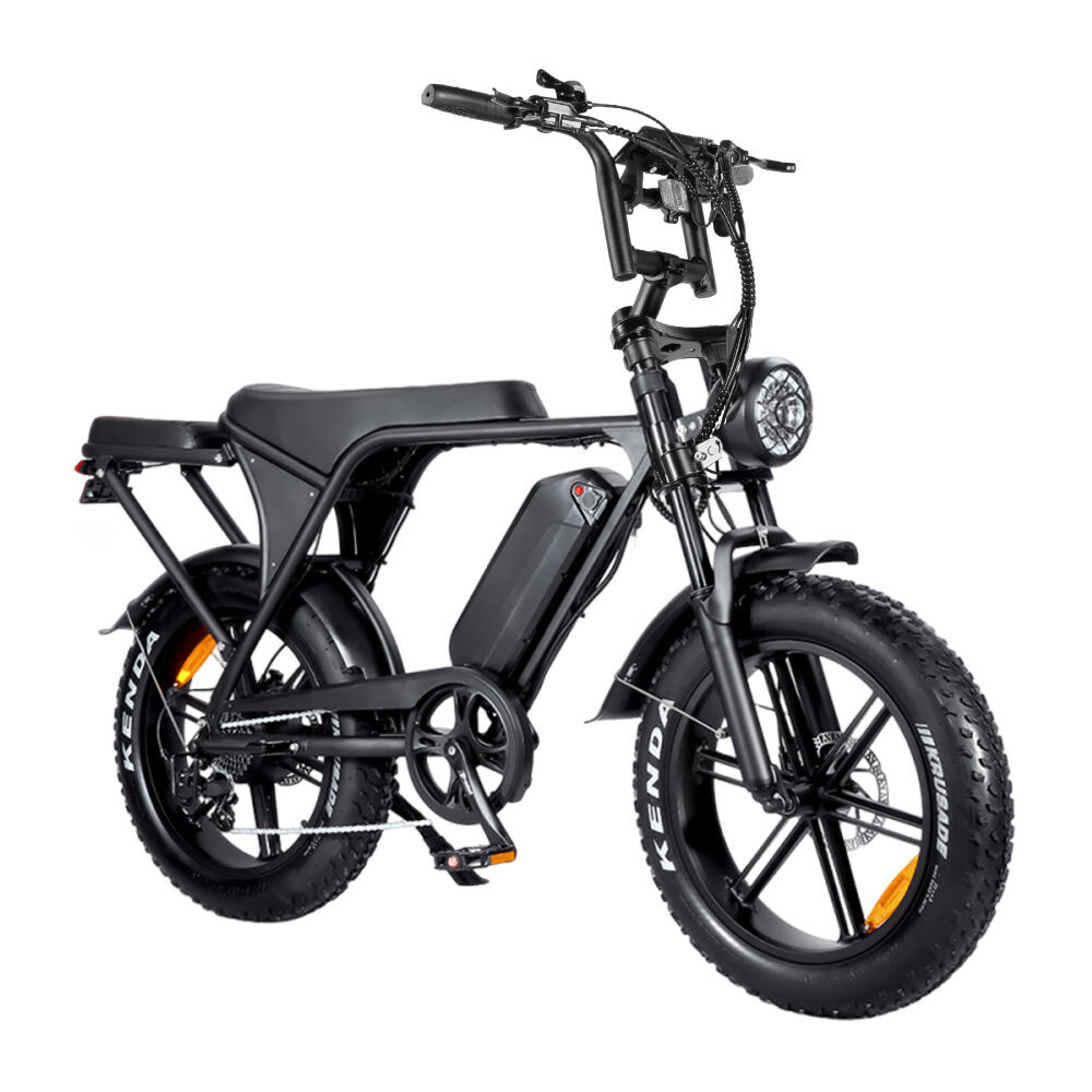 C80 5.0 E-bike, 250Watt motorvermogen, topsnelheid 25 km/u 3/7