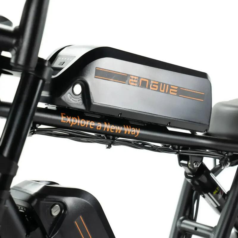 M20 – Dubbele Accu, 250Watt motorvermogen, topsnelheid 25 km/u 4/7