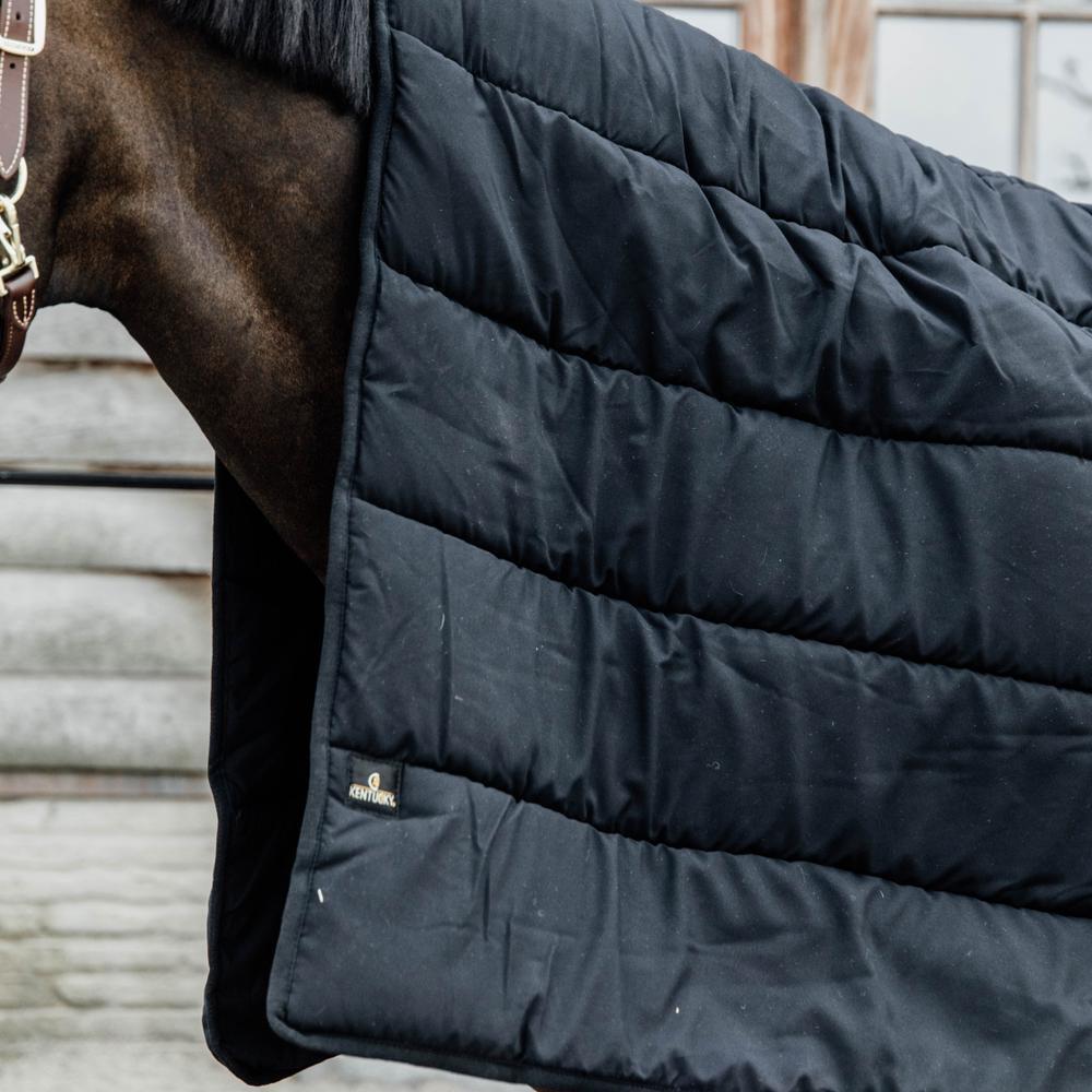 Coperta da stalla per cavalli Kentucky Duvet 300 g 4/5