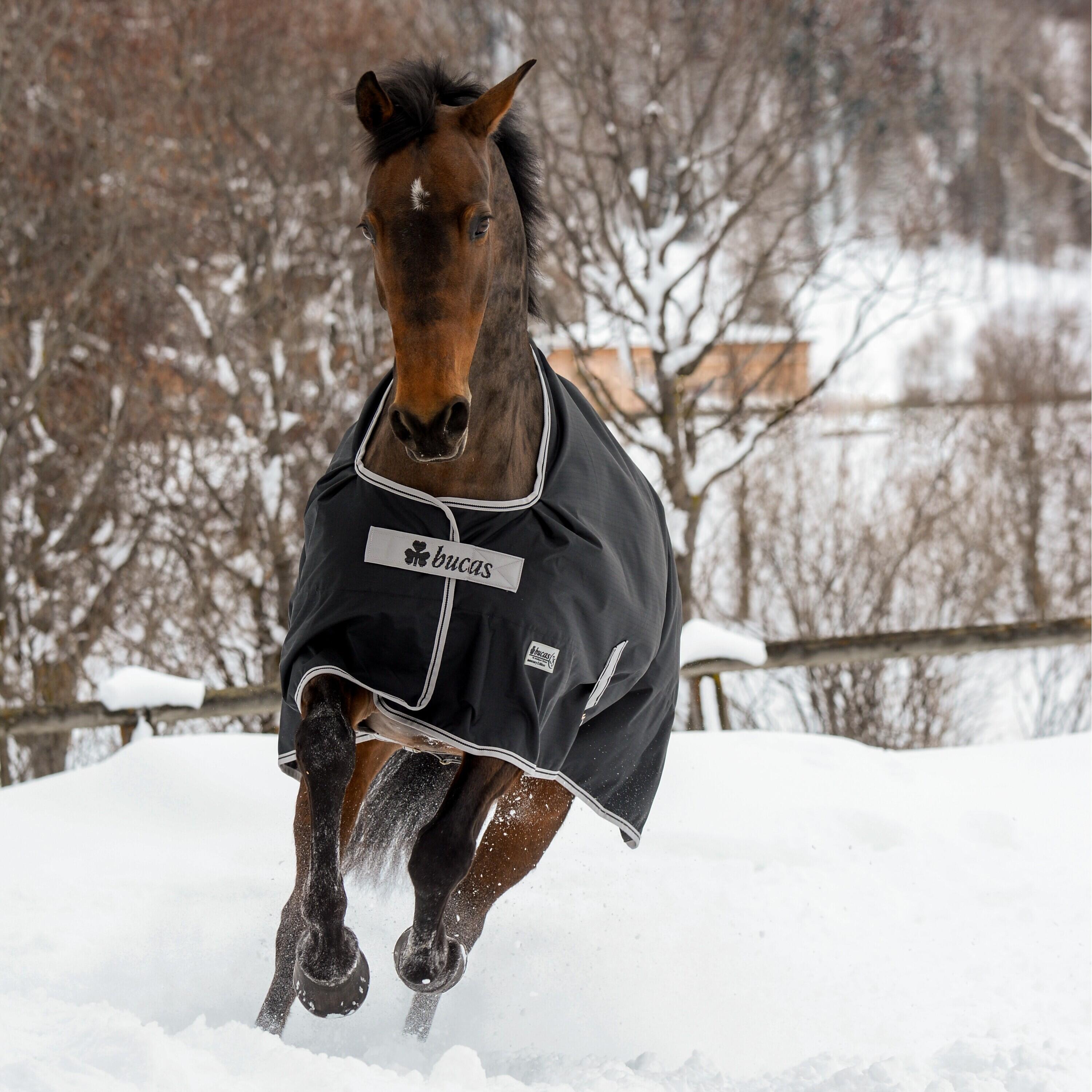 Couverture d'extérieur pour cheval imperméable Bucas Anniversary Turnout 0g 3/4