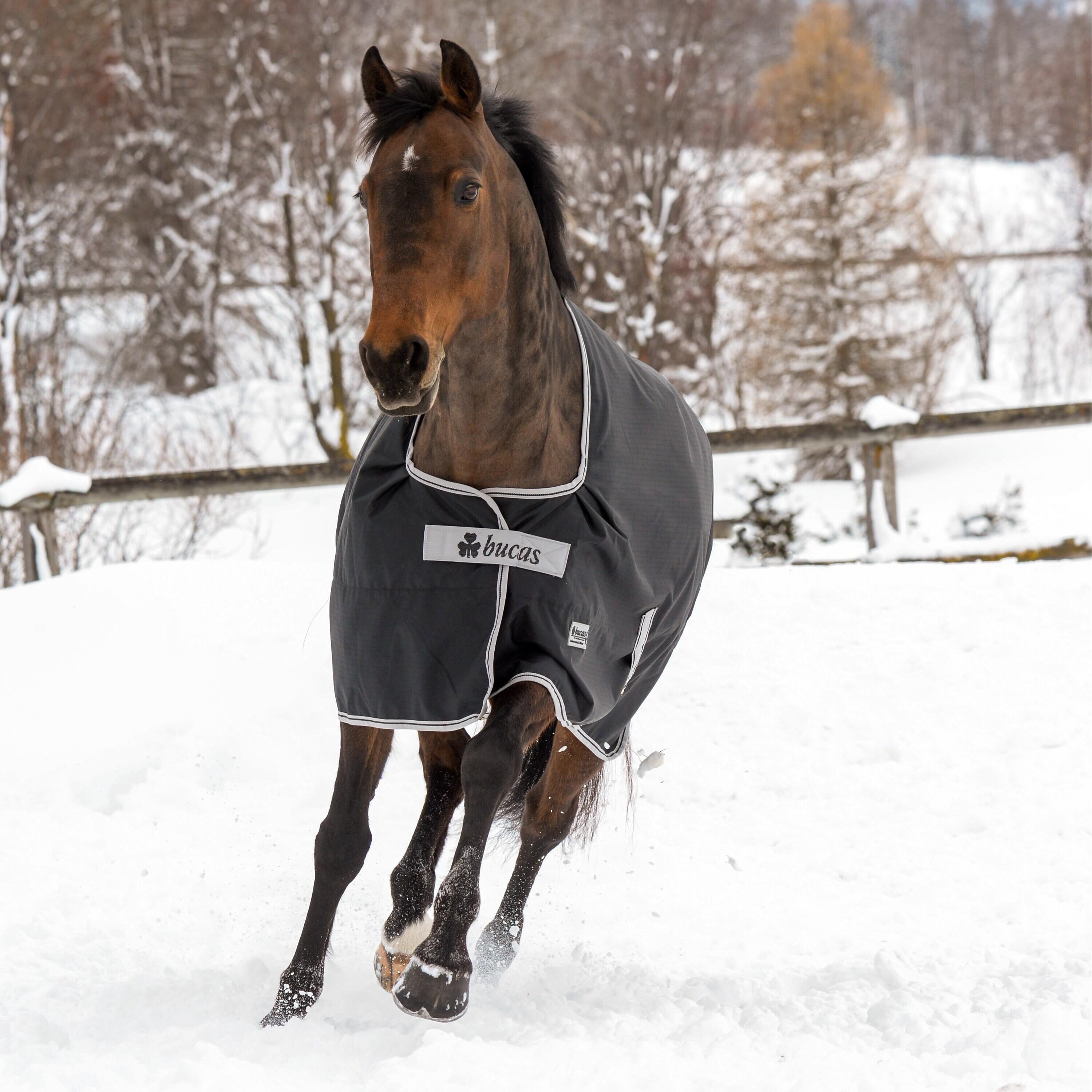 Couverture d'extérieur pour cheval imperméable Bucas Anniversary Turnout 0g 2/4