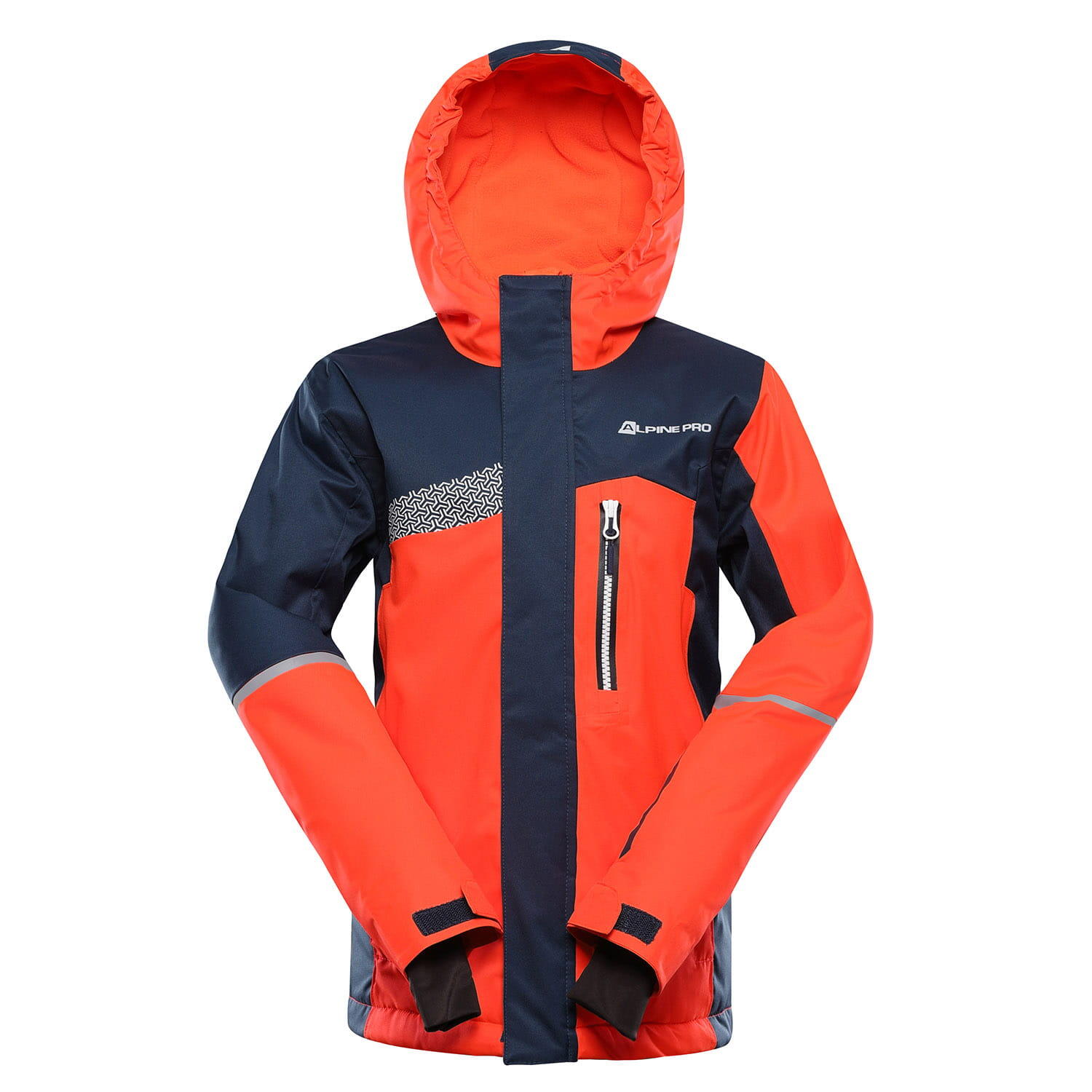ALPINE PRO picture