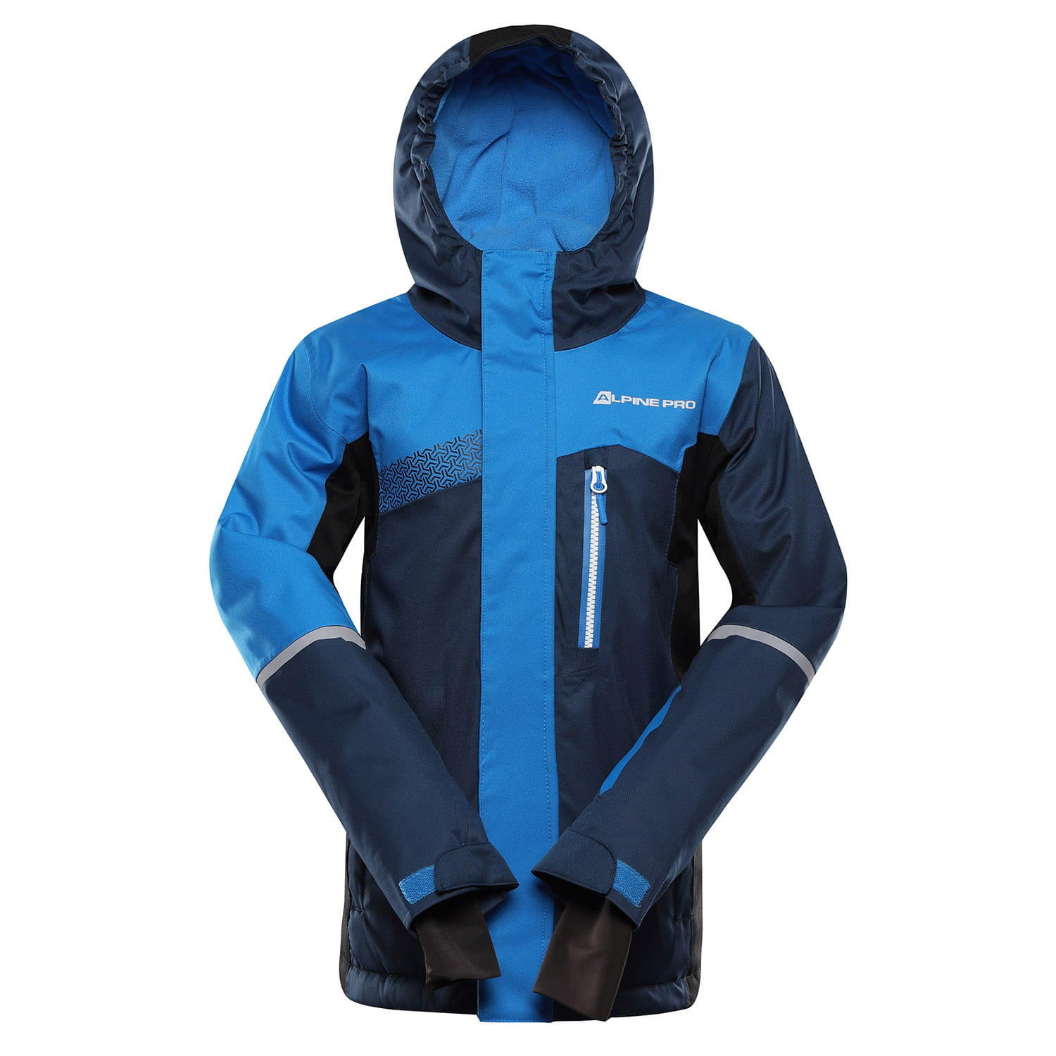 ALPINE PRO picture