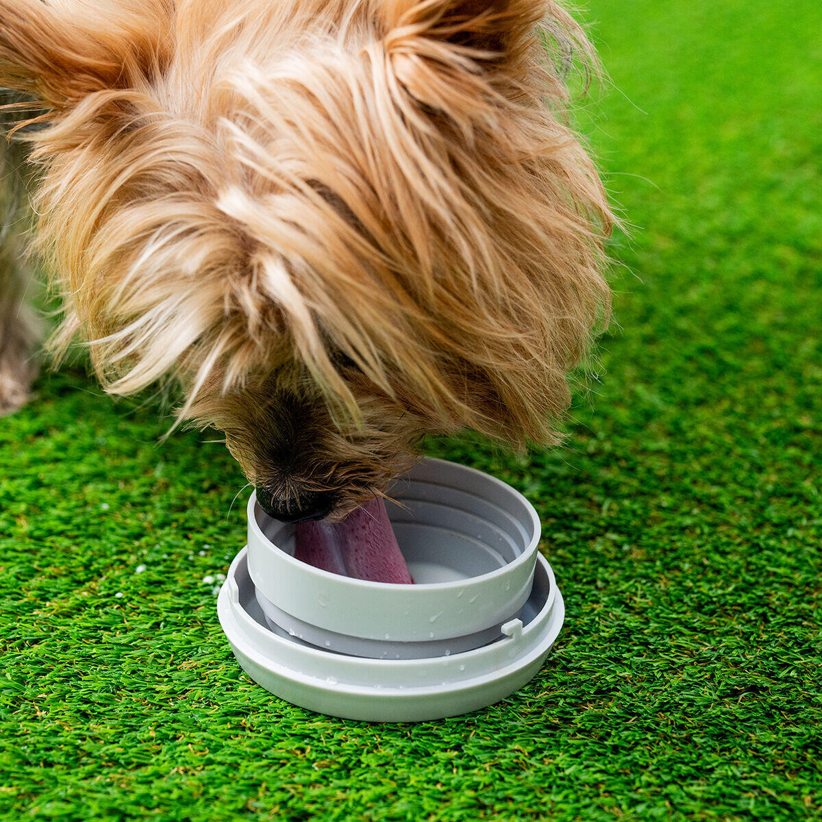 Laisse pour chien rétractable 6 en 1 InnovaGoods Leashic 5/7