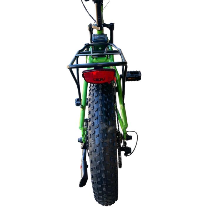 E-bike pieghevole Coppi Marsili Fat 20" alluminio 250W – colore verde 3/3