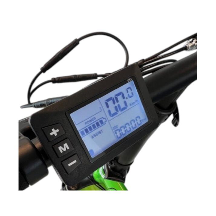 E-bike pieghevole Coppi Marsili Fat 20" alluminio 250W – colore verde 2/3