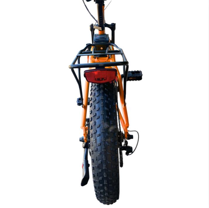 E-bike pieghevole Coppi Marsili Fat 20" alluminio 250W – colore arancio 3/3
